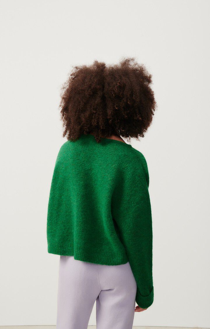 American Vintage | Women's V Neck Jumper East