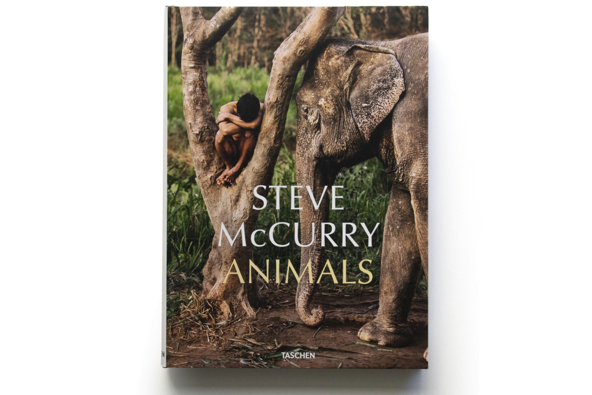 Book | Steve McCurry, Animals