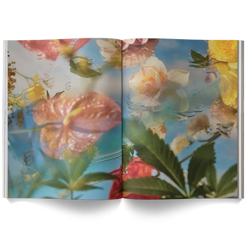 Broccoli | A Weed is a Flower Book