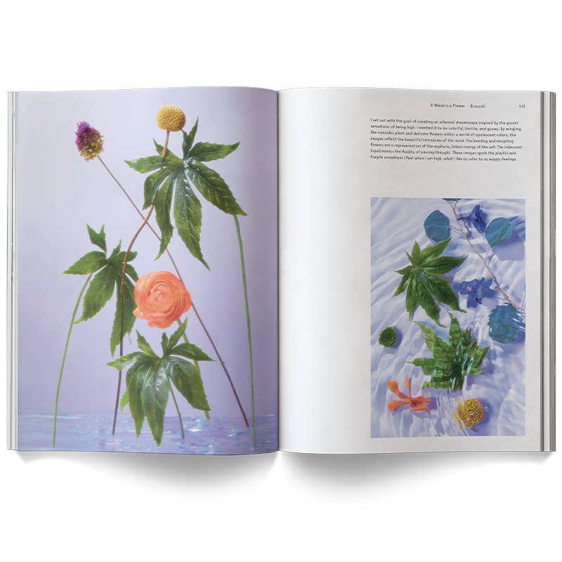 Broccoli | A Weed is a Flower Book