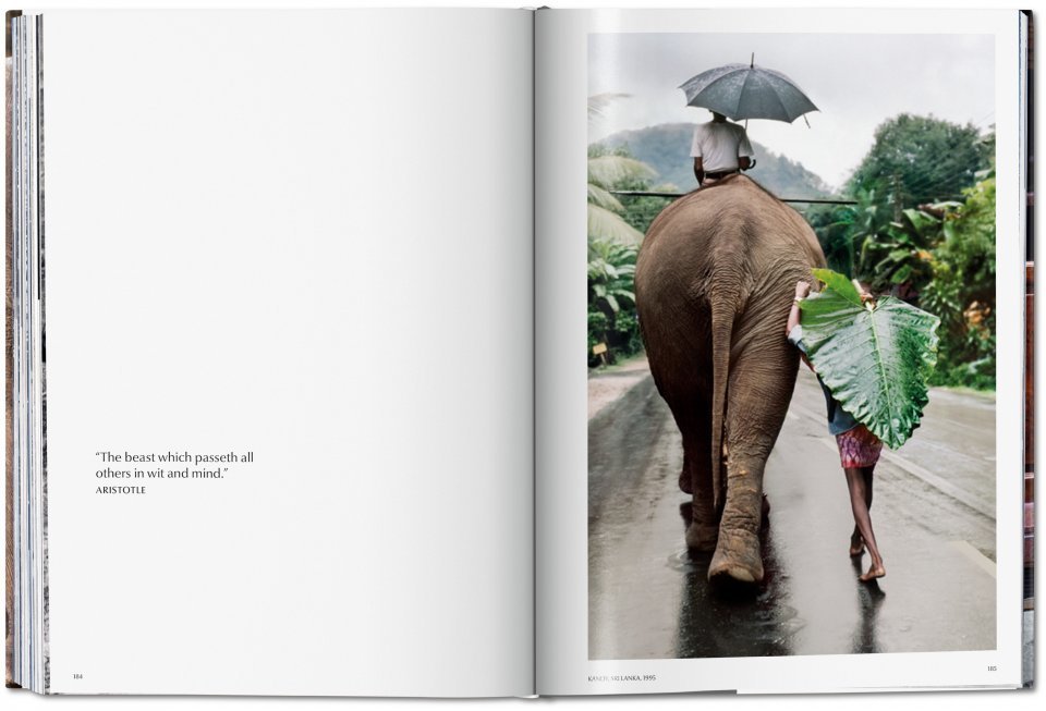 Book | Steve McCurry, Animals