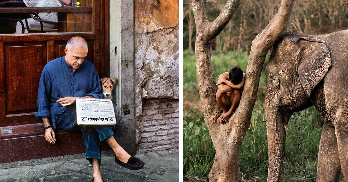 Book | Steve McCurry, Animals